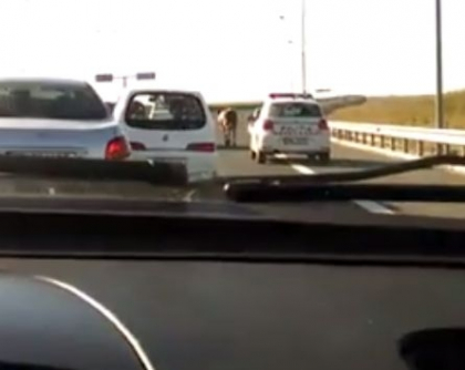 Misiune inedita pentru politisti pe Autostrada Soarelui: Au trebuit sa escorteze ... o vaca - VIDEO Misiune inedita pentru politisti pe Autostrada Soarelui: Au trebuit sa escorteze ... o vaca - VIDEO