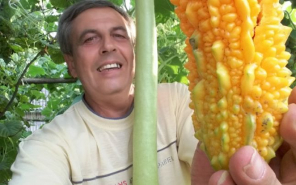 Are cele mai ciudate legume in gradina! Vei ramane masca cand vei vedea sub ce forma sunt ardeii - FOTO Are cele mai ciudate legume in gradina! Vei ramane masca cand vei vedea sub ce forma sunt ardeii - FOTO