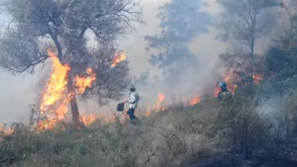 Un incendiu imens de vegetatie a dus la evacuarea a doua familii de pe o strada din capitala. Cinci autospeciale s-au indreptat la fata locului - VIDEO