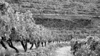 Moarte invaluita in mister. Doi soti din Ialoveni, gasiti morti in locuri diferite, dar cu aceeasi lovitura la cap. Vecin: "Femeia a fost gasita la un km de sat"