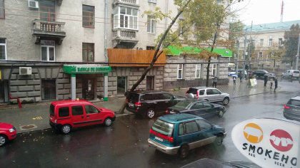 Un copac... "s-a sprijinit" de un Land Cruiser parcat pe o strada din capitala: Responsabilii de la Spatii Verzi au venit "sa-i desparta" - FOTO Un copac... "s-a sprijinit" de un Land Cruiser parcat pe o strada din capitala: Responsabilii de la Spatii Verzi au venit "sa-i desparta" - FOTO