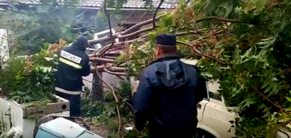 Dezastru in tara in urma ploii: Copaci doborati, localitati fara lumina si  zeci de gospodarii inundate  - VIDEO