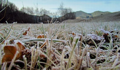 Alerta meteo. Meteorologii au emis cod galben de ingheturi in toata tara Alerta meteo. Meteorologii au emis cod galben de ingheturi in toata tara