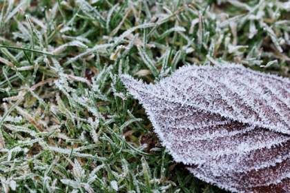 Temperaturile au ajuns sub 0 grade. Prognoza meteo: Ce spun meteorologii