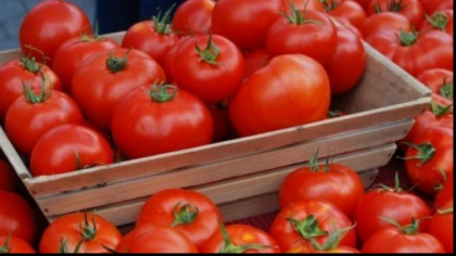 Cea mai mare greseala pe care o faci in bucatarie. Tu unde tii rosiile? Cea mai mare greseala pe care o faci in bucatarie. Tu unde tii rosiile?