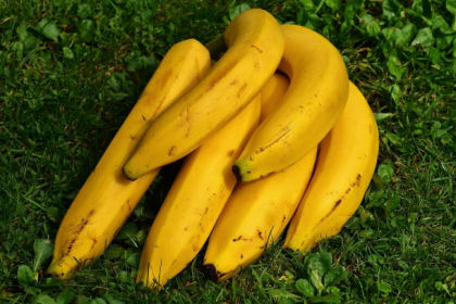 Uite ce ti se intampla daca mananc banane in fiecare zi, timp de un an