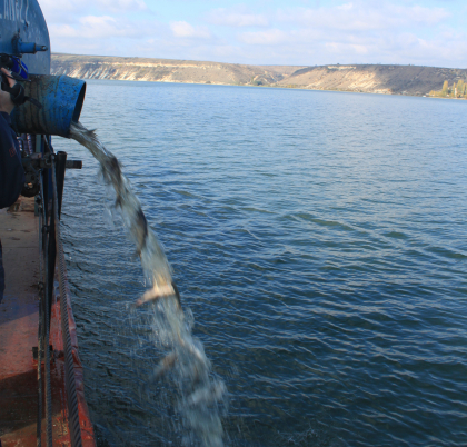 LIVE VIDEO. Lacul de la Dubasari, populat cu tone de crap, cosas si sanger