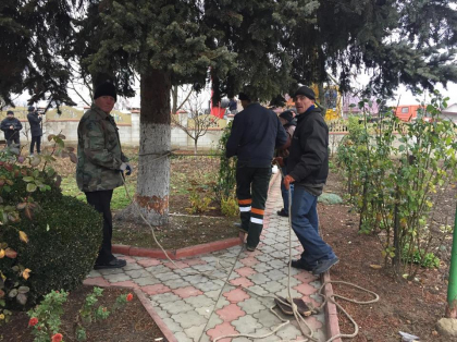Pomul de Craciun, adus de la Vasieni in capitala. In aceste momente bradul este taiat - GALERIE FOTO Pomul de Craciun, adus de la Vasieni in capitala. In aceste momente bradul este taiat - GALERIE FOTO