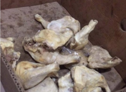 In aceste momente au loc mai multe controale in gradinitele din capitala dupa ce ieri s-a descoperit ca pe masa copiilor ajungeau alimente alterate