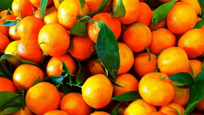 Mananci clementine cu frunze in aceasta perioada a anului? Trebuie neaparat sa stii asta