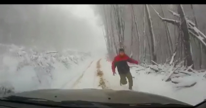 Uite de ce este bine sa tragi frana de mana inainte sa cobori din masina - VIDEO Uite de ce este bine sa tragi frana de mana inainte sa cobori din masina - VIDEO