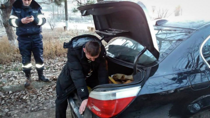 S-a certat cu amicii, iar acestia l-au bagat in portbagajul propriului BMW si l-au abandonat pe margiunea unei sosele: cand si-a dat seama le-a sunat imediat politistilor si le-a spus asta - FOTO