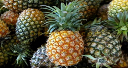 Iti dam 16 motive sa consumi ananas. Numarul 16, chiar te va surprinde! Iti dam 16 motive sa consumi ananas. Numarul 16, chiar te va surprinde!