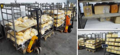 Cascaval alterat pe rafturile magazinelor din tara? Ce au descoperit oamenii legii la o fabrica de branzeturi din Soroca - VIDEO
