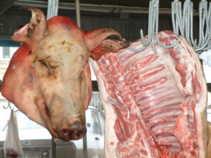 O vedeta a mancat carne de porc si a ajuns de urgenta la spital. "Nu mai mananc carne in viata mea..." O vedeta a mancat carne de porc si a ajuns de urgenta la spital. "Nu mai mananc carne in viata mea..."