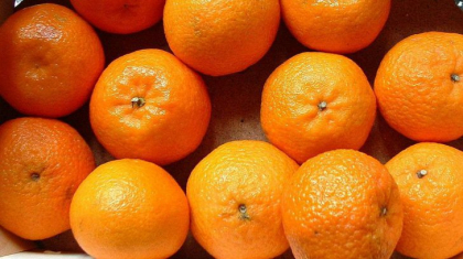 Cea mai mare greseala pe care o faci cand mananci portocale. Iti poate afecta grav sanatatea Cea mai mare greseala pe care o faci cand mananci portocale. Iti poate afecta grav sanatatea