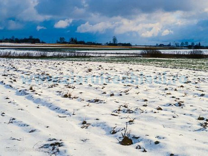 Saptamana fara ninsori, insa cu nopti geroase cu temperaturi de -16 grade. Cum va fi vremea in urmatoarele zile Saptamana fara ninsori, insa cu nopti geroase cu temperaturi de -16 grade. Cum va fi vremea in urmatoarele zile