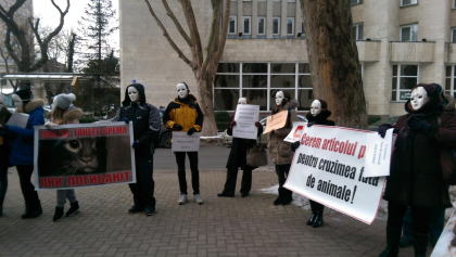 "Cerem articol penal pentru cruzimea fata de animale!" Zeci de oameni, cu masti pe fata, protesteaza in fata ministerului de Justitie - FOTO