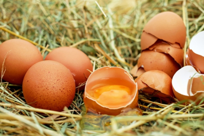 De ce sa nu mai tii oua sparte in frigider! Ce au constatat nutritionistii De ce sa nu mai tii oua sparte in frigider! Ce au constatat nutritionistii