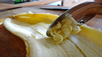 Dupa ce vei citi acest articol Nu vei mai arunca niciodata acesta parte din banana! Dupa ce vei citi acest articol Nu vei mai arunca niciodata acesta parte din banana!