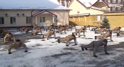 Serviciul Protectie si Paza de Stat, provocat de georgieni la "22 Push-up Challenge". Vezi cum s-au descurcat - VIDEO Serviciul Protectie si Paza de Stat, provocat de georgieni la "22 Push-up Challenge". Vezi cum s-au descurcat - VIDEO