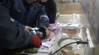 O femeie din capitala a ramas cu degetul blocat intr-o masina electrica de tocat carne. Salvatorii au intervenit de urgenta - VIDEO O femeie din capitala a ramas cu degetul blocat intr-o masina electrica de tocat carne. Salvatorii au intervenit de urgenta - VIDEO
