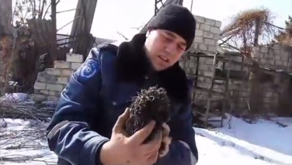 Momentul emotionant in care un catel este salvat de pompieri: A cazut intr-o gaura imensa de pe o strada din capitala - VIDEO Momentul emotionant in care un catel este salvat de pompieri: A cazut intr-o gaura imensa de pe o strada din capitala - VIDEO