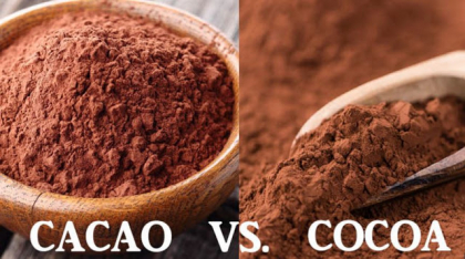 Ciocolata de pe raft contine oare cacao adevarata? Iata care este de fapt adevarul