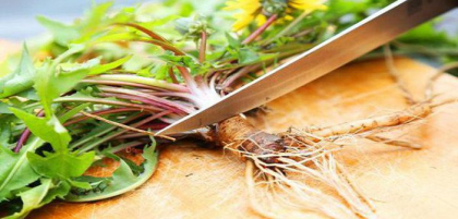 S-a descoperit planta care ucide celulele canceroase in 48 de ore S-a descoperit planta care ucide celulele canceroase in 48 de ore