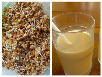 Obosit, stresat? Inlocuieste cafeaua cu sucul din germeni de grau! Te vei energiza de trei ori mai mult! Obosit, stresat? Inlocuieste cafeaua cu sucul din germeni de grau! Te vei energiza de trei ori mai mult!