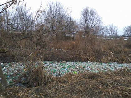 Dezastru ecologic pe raul Bic din capitala. Mii de sticle, aruncate in apa - GALERIE FOTO