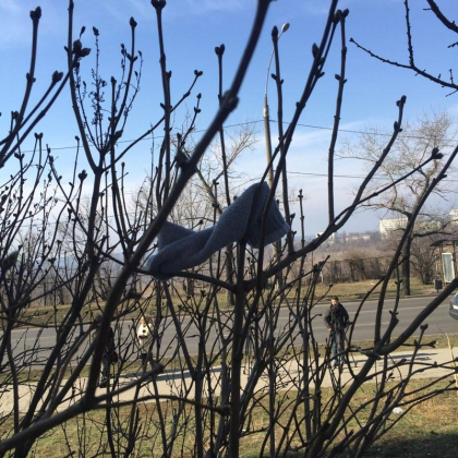 Doi minori s-ar fi aruncat in gol in toiul noptii de pe un bloc din sectorul Botanica. Ce biletel au gasit oamenii legii in buzunarul baiatului Doi minori s-ar fi aruncat in gol in toiul noptii de pe un bloc din sectorul Botanica. Ce biletel au gasit oamenii legii in buzunarul baiatului