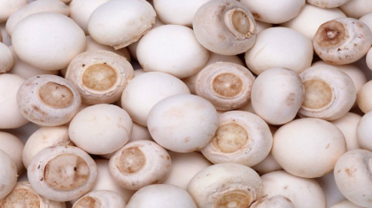 Adevarul nespus despre ciupercile champignon din supermarketuri. Le consumi fara sa stii asta! Adevarul nespus despre ciupercile champignon din supermarketuri. Le consumi fara sa stii asta!