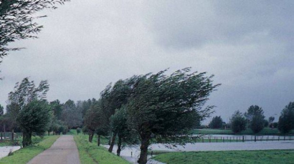 Cod galben de vant puternic in intreaga tara. Anuntul facut de meteorologi cu putin timp in urma Cod galben de vant puternic in intreaga tara. Anuntul facut de meteorologi cu putin timp in urma