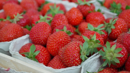 Acestea sunt alimentele care te fac mai frumoasa! Include-le in dieta! Acestea sunt alimentele care te fac mai frumoasa! Include-le in dieta!