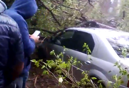 Un copac imens, smuls de vant s-a prabusit peste mai multe masini parcate intr-un cartier din capitala - VIDEO 