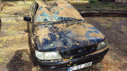 Un copac i-a stricat masina, iar Spatii Verzi trebuie sa-i achite despagubiri. Un sofer a castigat procesul de judecata in prima instanta si ar putea primi 17 mii de lei (DOC) Un copac i-a stricat masina, iar Spatii Verzi trebuie sa-i achite despagubiri. Un sofer a castigat procesul de judecata in prima instanta si ar putea primi 17 mii de lei (DOC)