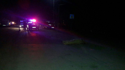Grav accident la Edinet. Frate si sora, spulberati de pe carosabil de un sofer care ar fi urcat beat la volan: baiatul s-a stins pe loc, iar fata a fost transportata la spital - FOTO Grav accident la Edinet. Frate si sora, spulberati de pe carosabil de un sofer care ar fi urcat beat la volan: baiatul s-a stins pe loc, iar fata a fost transportata la spital - FOTO