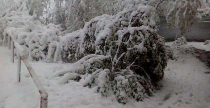 De cel putin 120 de ani, la Chisinau, in aceasta perioada, nu a mai nins asa. Este un fenomen inregistrat in premiera de cand se fac masurari meteorologice - FOTO