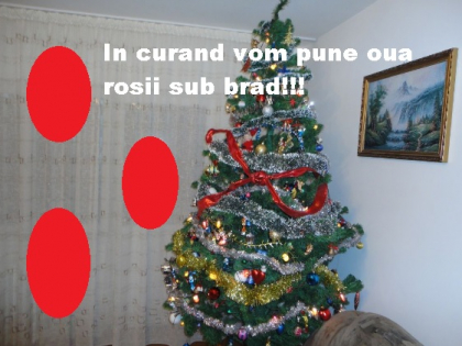 "In curand vom pune oua rosii sub brad" "Pe timpul lui Timofti nu era asa" "Baba Dochia s-a lovit la cap". Internautii fac haz de necaz dupa ninsoarea de astazi - GALERIE FOTO "In curand vom pune oua rosii sub brad" "Pe timpul lui Timofti nu era asa" "Baba Dochia s-a lovit la cap". Internautii fac haz de necaz dupa ninsoarea de astazi - GALERIE FOTO