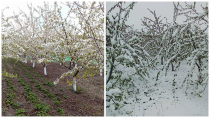 Acelasi unghi, aceeasi livada din Nisporeni - inainte si dupa cosmarul alb de astazi - FOTO