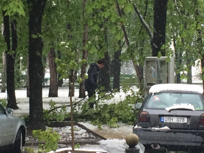 Primarul capitalei Dorin Chirtoaca, surprins cum strange crengile de pe jos, in centrul capitalei: "Singur, singurel..." - FOTO/VIDEO