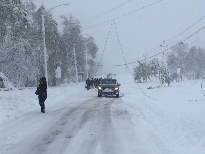 Troleibuzele NU circula. Nicio unitate nu a fost scoasa pe circuit: liniile sunt incarcate cu zapada si crengi rupte. Oamenii au luat-o pe jos pentru a ajunge la munca - GALERIE FOTO