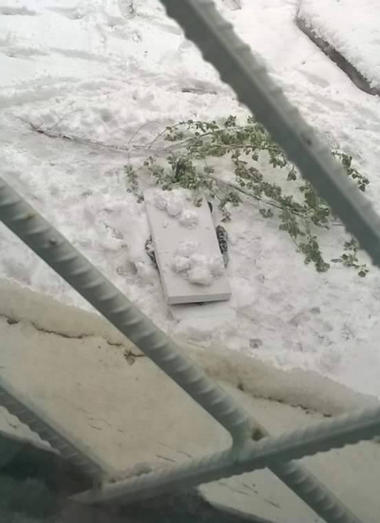 Ingrozitor! Un barbat a fost gasit mort printre nameti in aceasta dimineata, pe o strada din capitala - FOTO si VIDEO Ingrozitor! Un barbat a fost gasit mort printre nameti in aceasta dimineata, pe o strada din capitala - FOTO si VIDEO