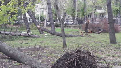 Dezastrul din parcul Dendrariu. Cum arata dupa ce a fost devastat de urgia alba de acum cateva zile - GALERIE FOTO