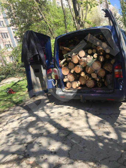 Cum au profitat moldovenii de pe urma ninsorii din aprilie: aveau microbuzul burdusit cu lemne - FOTO Cum au profitat moldovenii de pe urma ninsorii din aprilie: aveau microbuzul burdusit cu lemne - FOTO