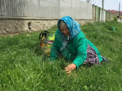 In timp ce la unii, de 1 mai, sfaraie micii pe gratare, curge vinul in pahare, iar pestele nimereste in undite - la sate, oamenii duc vacile la pascut, seamana pamantul sau dau cu sapa. Contrastele vietii in Moldova In timp ce la unii, de 1 mai, sfaraie micii pe gratare, curge vinul in pahare, iar pestele nimereste in undite - la sate, oamenii duc vacile la pascut, seamana pamantul sau dau cu sapa. Contrastele vietii in Moldova