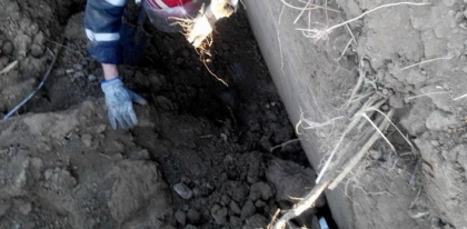 Miercuri - putea fi ultima zi. Doi tineri din Orhei au ajuns la spital dupa ce un mal de pamant s-a prabusit peste ei. Ce vroiau sa faca Miercuri - putea fi ultima zi. Doi tineri din Orhei au ajuns la spital dupa ce un mal de pamant s-a prabusit peste ei. Ce vroiau sa faca