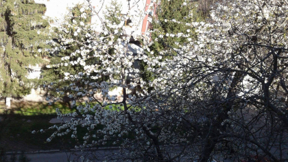 Ne asteapta vreme ploioasa, insa vom avea maxime de 25 de grade. Prognoza meteo pentru weekend - FOTO