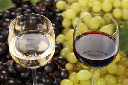 Dodon a fost la parada - Cricova exporta vin in Rusia. Rospotrebnadzor a acceptat produsele companiei care pastreaza o colectie de vin a lui Putin